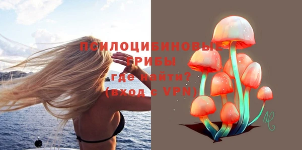 прущие крисы Богородск