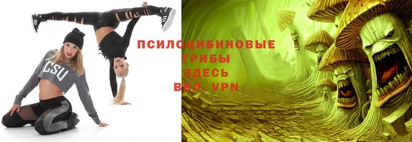 прущие крисы Богородск