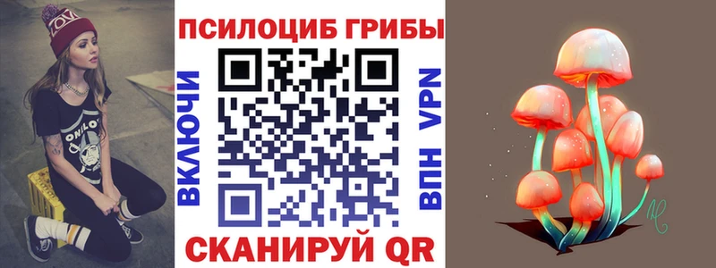 Псилоцибиновые грибы Psilocybine cubensis Макаров